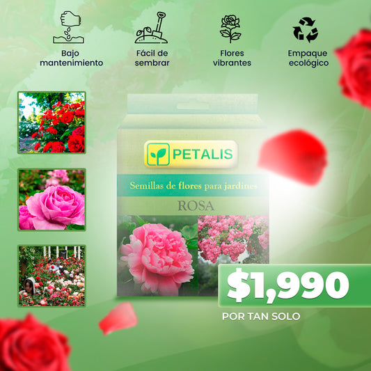 Semillas para Flores Petalis™ | Donde hubo dolor, ahora florece belleza